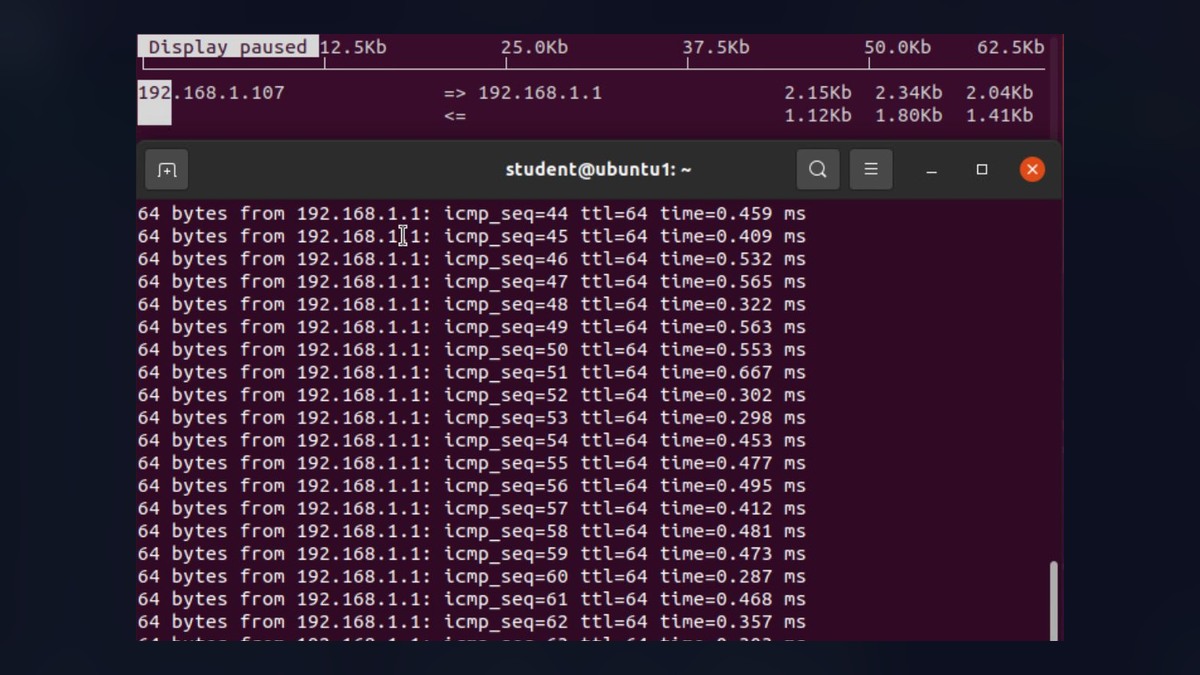 Ubuntu terminal showing Linux network testing commands